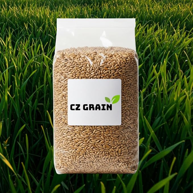 No-Till Winter Rye Seeds - 5 Lbs - Non-GMO Rye Grain Cover Crop Seeds - Healthy Soil Protection, Erosion Control, and Forage