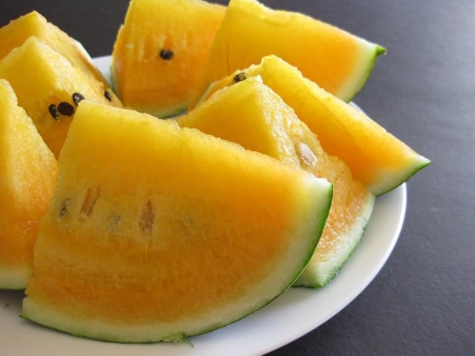 Yellow Watermelon Seeds Rare Hierloom Vegetable for Planting Giant Non GMO 15 Seeds