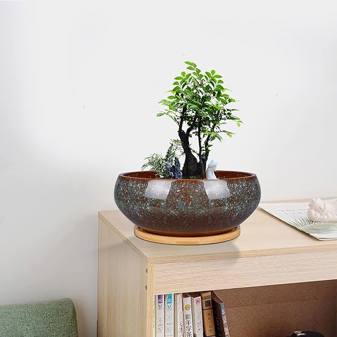 8 Inch Ceramic Bonsai Planter Pot, Glazed Shallow Succulent Planter with Drainage Hole and Bamboo Saucer for Indoor Plants, Green