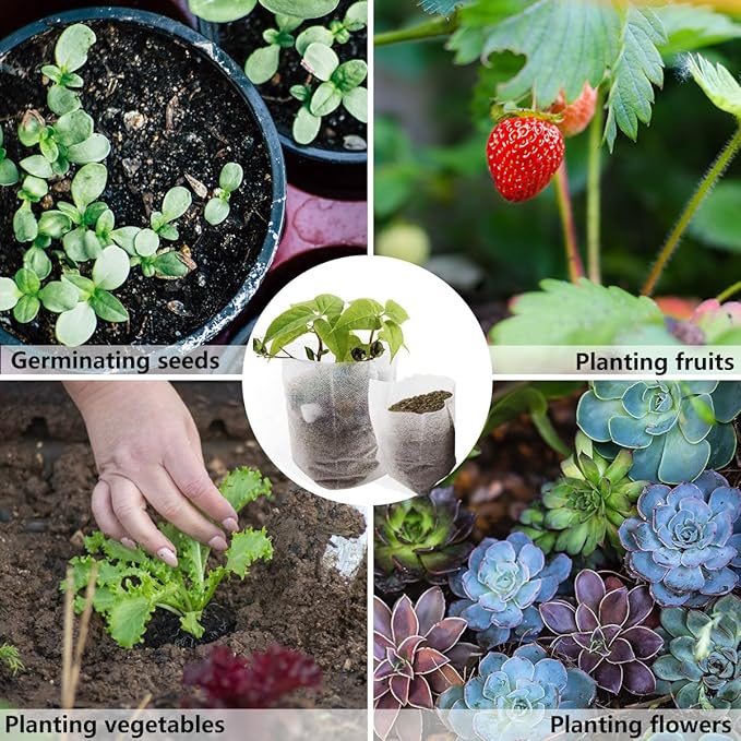 Belit 200Pcs Nursery Growing Bags,Non-Woven Fabric Seedlings Grow Bag for High Seedling Survival Rate,Plant Bags for Planting,Garden Seed Starters Pouch Small（4.2"x4.2"）