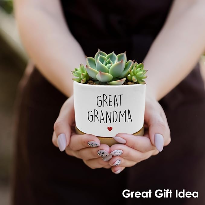 Great Grandma Gifts Plant Pots, Gifts for Great-Grandma Succulent Planters, Great Grandmother Gift Ceramic Plant Flower Pots for Home Office Desk Table Shelf(No Plants)