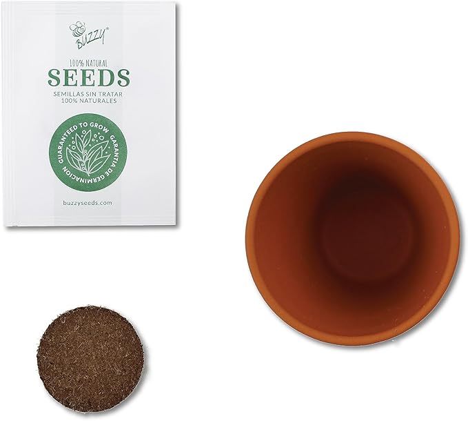 BUZZY Seeds Daisy Daydream Collection Mini Terracotta Grow Pots 6-Pack, All-in-One Starter Kit with Seed Packs and Growing Medium, Wedding Favors, Gardening Gifts, Stocking Stuffer