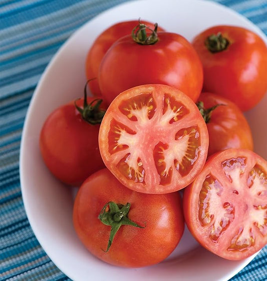 Burpee 'Early Pick VF' Hybrid , Red Beefsteak Slicing Tomato , 50 Non-GMO Seeds