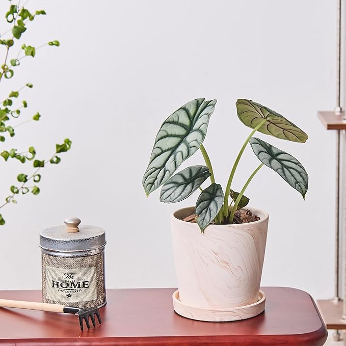 5 in Flower Planters Indoor, Modern Red Terra Cotta Plant Pot, Succulents Containers with Drain Hole Saucer, Decorate Home, Office, Outdoor/Garden Plants