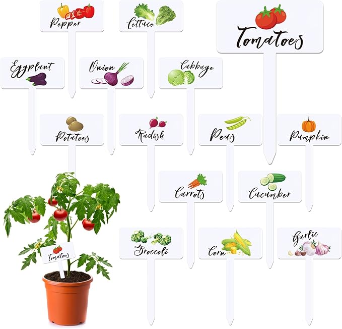 30 Pcs Acrylic Vegetable Labels Signs Waterproof Plant Marker Garden Stake Tags with Vegetable Name 15 Styles T-Type Markers Reusable for Nursery Indoor Outdoor Spring Garden Decoration
