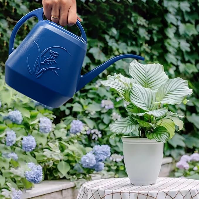 Plant Watering Can - 1/2 Gallon - Blue