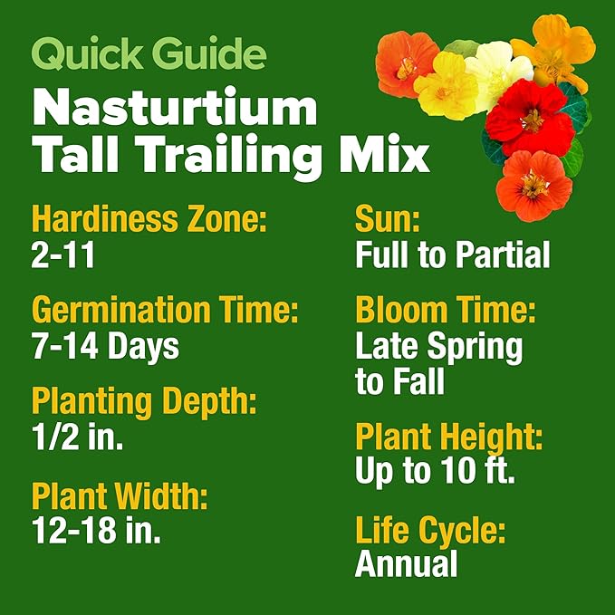 HOME GROWN Nasturtium Seeds Dwarf Tall Trailing Mix – 250+ Edible Flower Seeds for Planting Outdoors – Fast Germination, Low-Maintenance Climbing & Trailing Nasturtium (Tropaeolum majus)