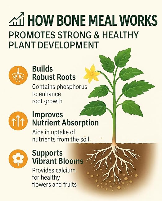 𝐁𝐄𝐒𝐓𝐒𝐄𝐋𝐋𝐄𝐑 Organic Bone Meal Fertilizer by Gardenera (4-12-0 NPK) All-Natural Plant Food Source of Nitrogen and Phosphorus for Bulbs, Gardens, Potted Plants, Trees, and Shrubs - 3 QUARTS