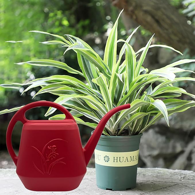 Plastic Watering Can - Wine Red Color - 1 Gallon