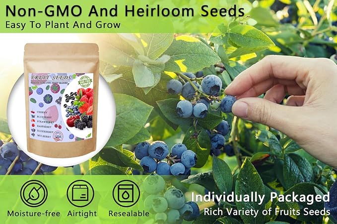 1000pcs Mix Fruit Seeds Berry Seeds for Planting Strawberry Raspberry Mulberry Blueberry Elderberry Cherry 6 Varieties Individually Packaged for Home Garden