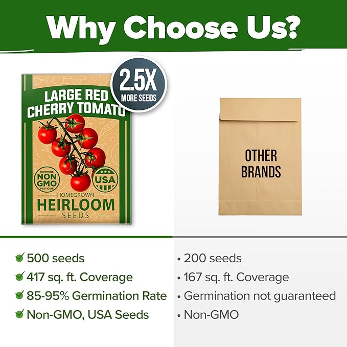 HOME GROWN Large Red Cherry Tomato Seeds Pack– 500 High Germination Heirloom Seeds – Non GMO Vegetable Seeds for Garden,Homestead & Self-Sufficient Growing(Solanum lycopersicum)