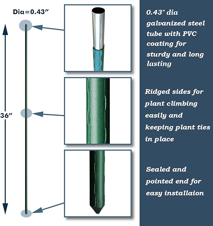 36 Inch Plant Support Garden Stakes, Steel Tomato Plant Stakes, Pack of 25