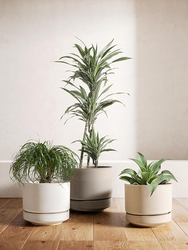 LE TAUCI Large 14 Inch Plant Pot with Saucer | Ceramic Outdoor & Indoor Big Planter Pot | Drainage Hole, Mesh Pad & Plug | Unglazed Porous | Modern Minimalist for Home and Patio – Chalk White