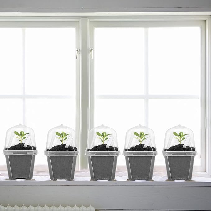 EBaokuup 4" Clear Plant Nursery Pots with Humidity Dome, 10PCS Plastic Gardening Pot Plant Container, Seed Starting Pot with Drain Holes for Seedlings/Vegetables/Succulents/Cuttings