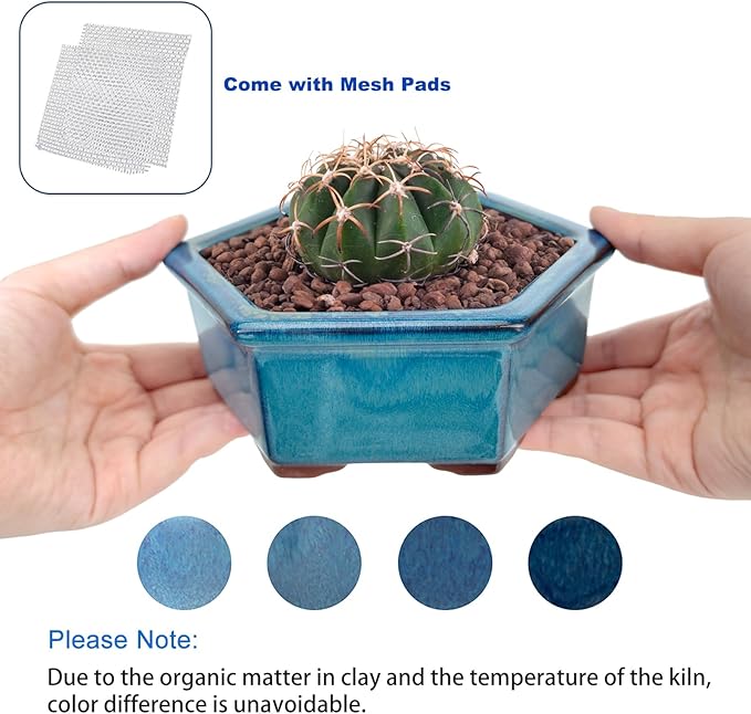 Bonsai Planter 5.7" 6" Small Succulent Glazed Pots Set of 2 + 6 Soft Mesh Drainage Screens