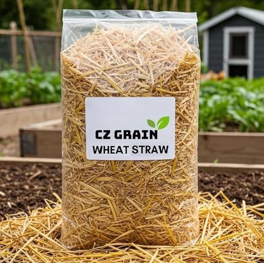 100% Natural Wheat Straw for Animal Bedding, Garden Mulch, Compost & Fertilizer, and Grass Cover (12 Ounces)
