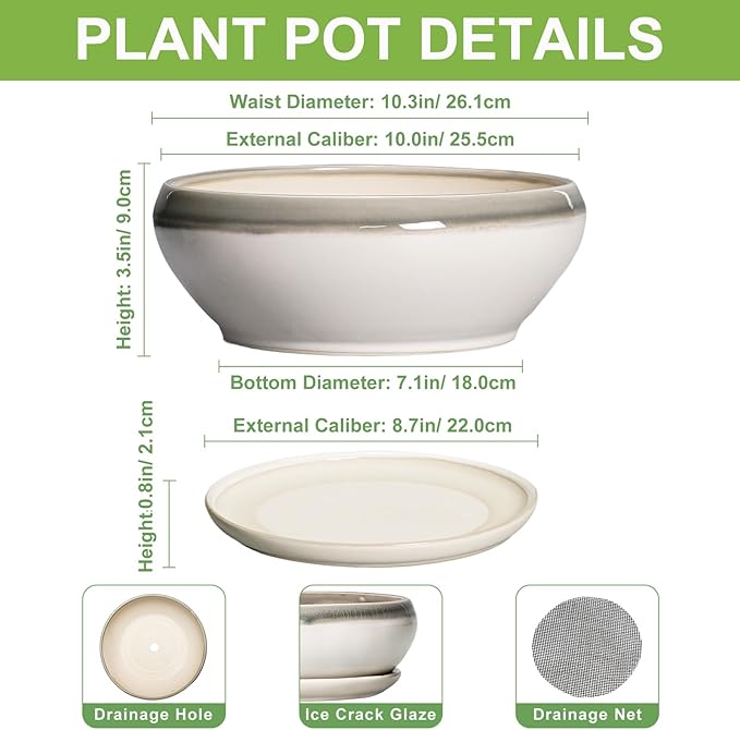 SQOWL Bonsai Pots Ceramic - 10 Inch Succulent Planters for Indoor Plants Outdoor, Shallow Round Planter with Drainage Hole and Saucer, Ceramic Planter Bowl, Office Decor, Gifts for Women, Gray-Beige