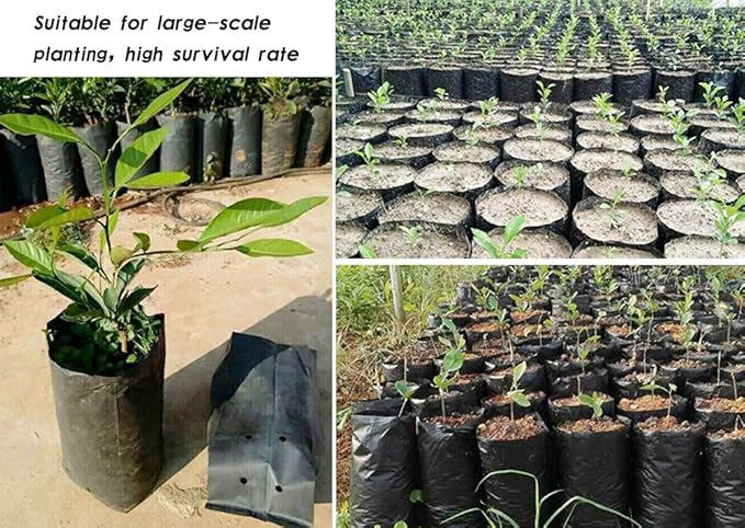 100 PCS Thicken Plastic Nursery Bags for Plants Fruit Flower Grow Bags Seedling Pots (6.69x11.81 in)