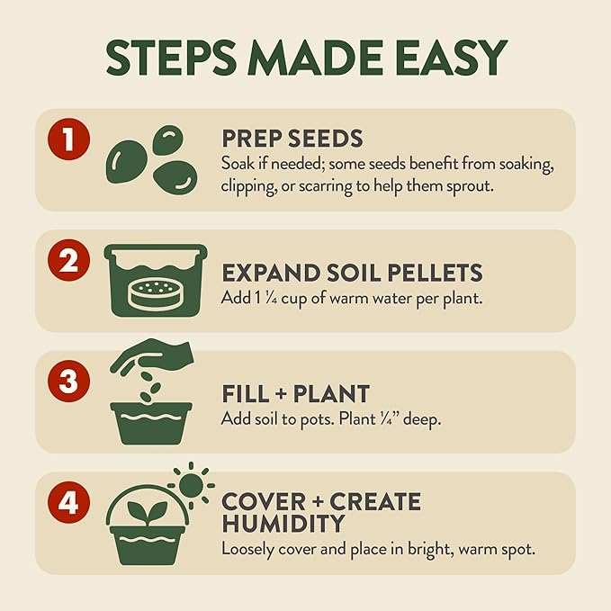 HOME GROWN Bonsai Tree Starter Kit – Unique Christmas Gift for Adults, Men & Women - Grow 4 Indoor Bonsai Trees from Seeds – Beginner DIY Crafts & Hobby Kit Gardening Gift for Plant Lovers, Mom & Dad