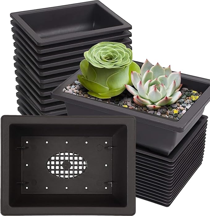 KINJOEK 15 PCS 6.5 Inch Plastic Bonsai Training Pots with Drainage Trays, Rectangular Plant Bonsai Tree Pot, Flower Succulent Growing Seedling Pot Container Planter for Garden Indoor Home Decorative