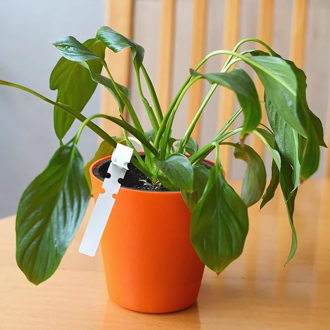 Plant Markers for Outdoor Plants Waterproof, 1500 PVC Plastic Garden Labels, Long-Lasting Flexible Plant Tags, Ideal for Outdoor Garden, Easy Organization