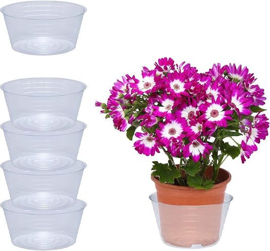 Curtis Wagner Plastics Drip Pan Saucers (5-Pack) - Clear, Deep (Diameter: 6" Base, 8" Top, 3.5" Depth) Thin Plastic Plant Tray Indoor Outdoor