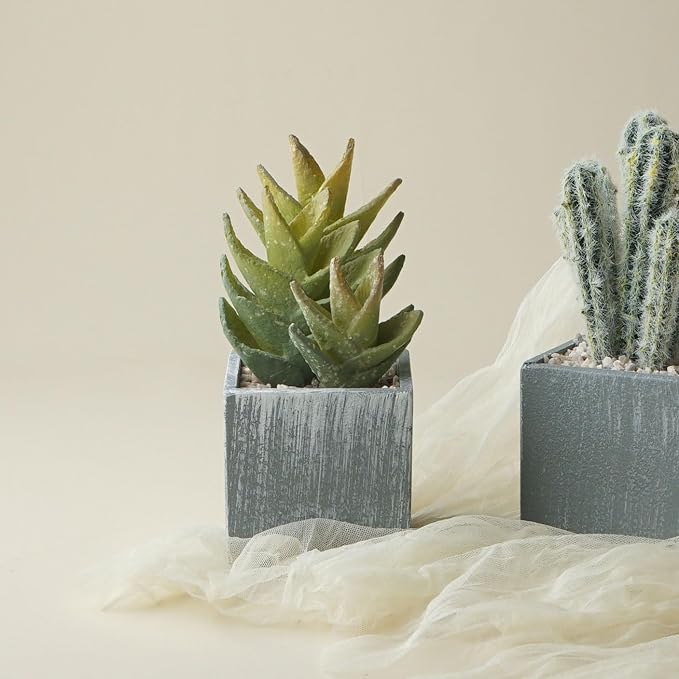 Cactus Artificial Plants,Faux Cactus Potted Plants, Indoor Decor for Home,Office,Kitchen,Living Room,Desk,Shelf(Grey Pots)