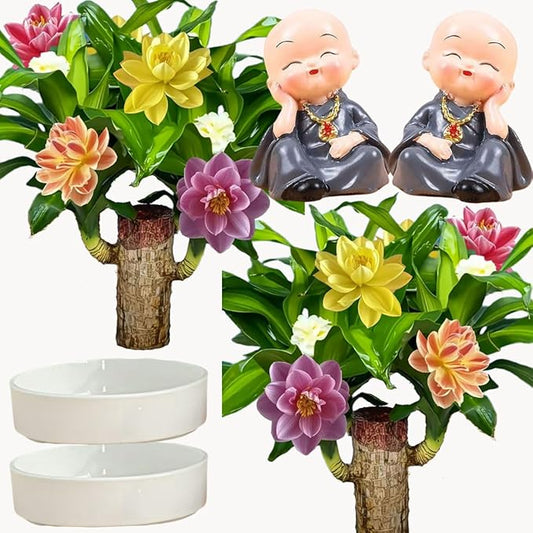 Brazilian Lucky Wood Plant, Brazilian Wood with Energy Crystals, Low-Light Office, Bedroom Decor, Home Good Luck Decor (2ash)
