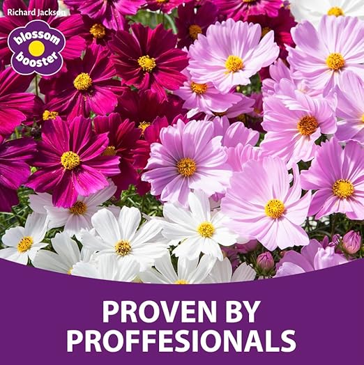 Blossom Booster Richard Jackson Premium Plant Food, with Bio-Active Technology, Concentrated Feed for All Plants, 178 gallons of Feed, Fruits and Vegetables with Essential Nutrients (1.65lbs / 750g)