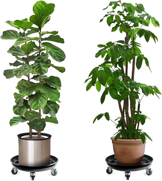Choclaif Plant Caddy with Wheels,2 Pack Black Heavy Duty Plant Stand with Universal Wheels,Round Pot Trolley for Indoor Outdoor (16)