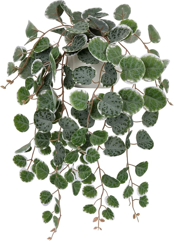 Briful Fake Plants Indoor 16'' Artificial String of Hearts Plants with Ceramic Pot Faux Draping Vine Plants for Home Bathroom Table Shelf Office Hotel Decor