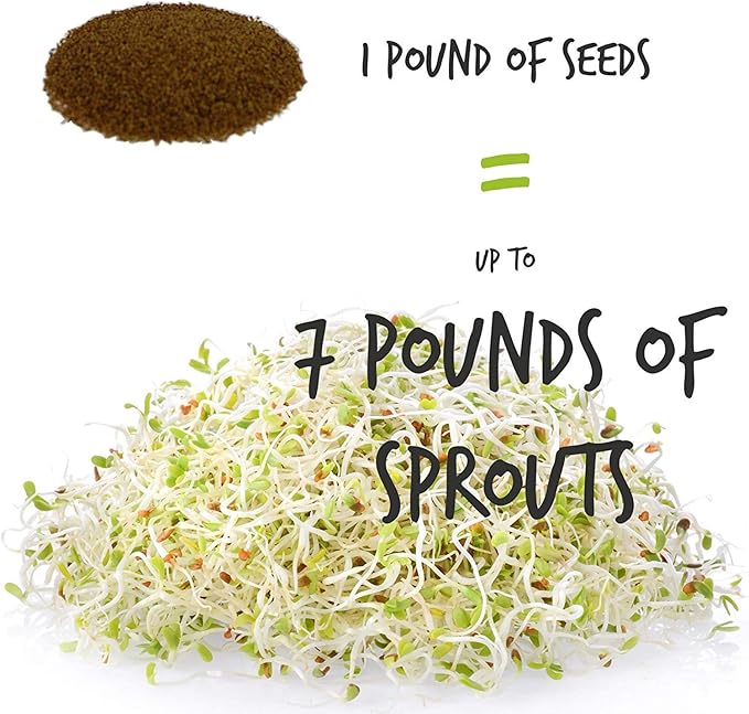 Certified Organic Alfalfa Sprouting Seed- 2.5 Lbs - Handy Pantry Brand - High Sprout Germination- Gardening, Growing Salad Sprouts, Planting, Food Storage & More