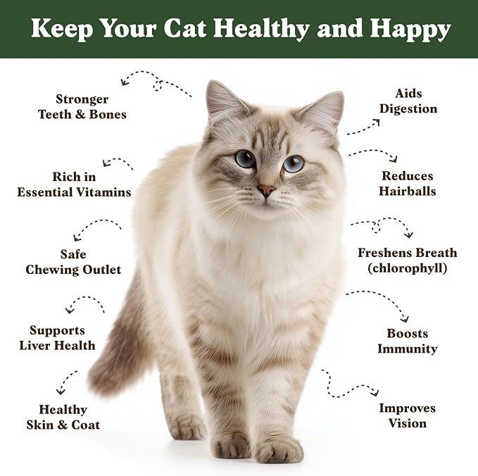 Seedboy Organic Cat Grass Seeds for Planting, Non-GMO Wheat, Oat, Rye, and Barley Cat Grass for Indoor Cats (8 oz)