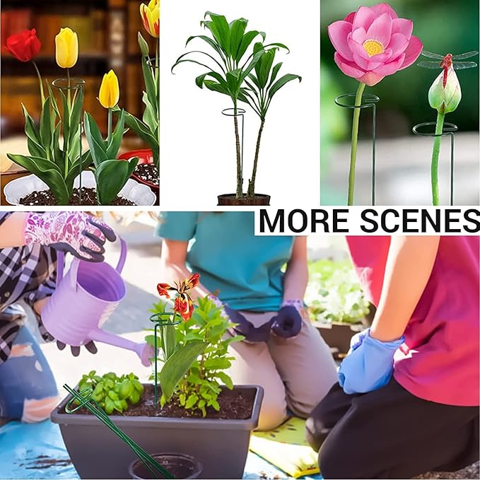 10 pcs 20 inch Metal Single Stem Flower Plant Support Stakes and Rings for Amaryllis Orchid Lily Sunflower Rose Narcissus