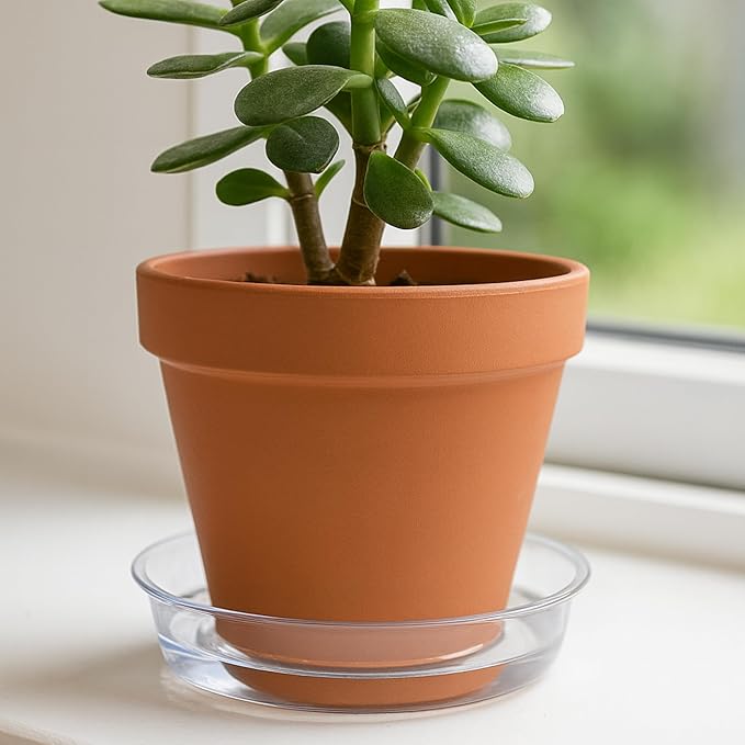 Curtis Wagner Plastics Drip Pan Plant Saucers (5-Pack) - Clear, Round (Diameter: 5" Base, 6" Top, 1.25" Depth) Thin Plastic Planter to be Used as Indoor Pot & for Outdoor Plant Pots