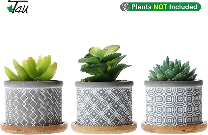 T4U 2.5 Inch Cement Succulent Planter Pot with Bamboo Tray Set of 3, Small Grey Concrete Pot Cactus Plant Container Herb Window Box Decoration for Home Office Gardening Birthday