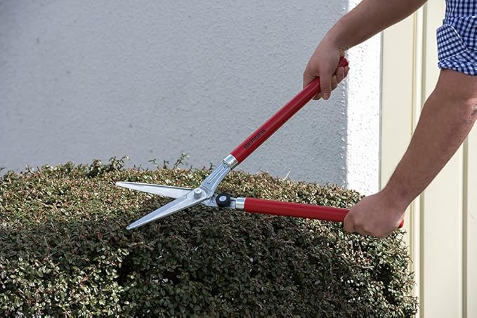 BERGER Professional Lightweight Topiary Hedge Shear, 6.3" Chromium-Plated Blades, Sap Groove to Prevent Sticking, Shock-Absorbing Buffer, Beech Wood Handles, 2520