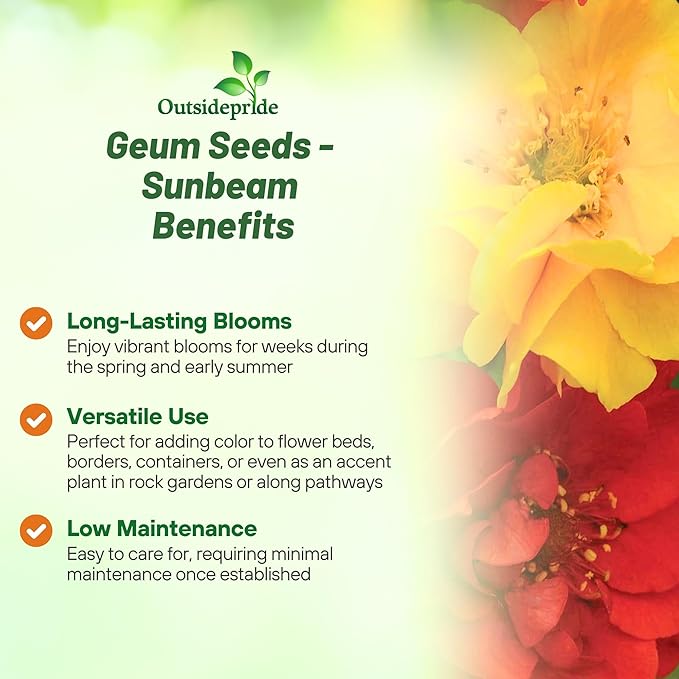 Outsidepride Sunbeam Geum Seeds - 20 Pcs Easy to Grow Perennial Flower Seeds for Planting with Vibrant Blooms Attractive to Pollinators, for Cut Flower Arrangements, Borders, & Flower Beds