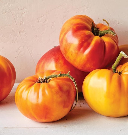 Burpee 'Big Rainbow' Heirloom, Large Beefsteak Slicing Tomato, 100 Non-GMO Seeds