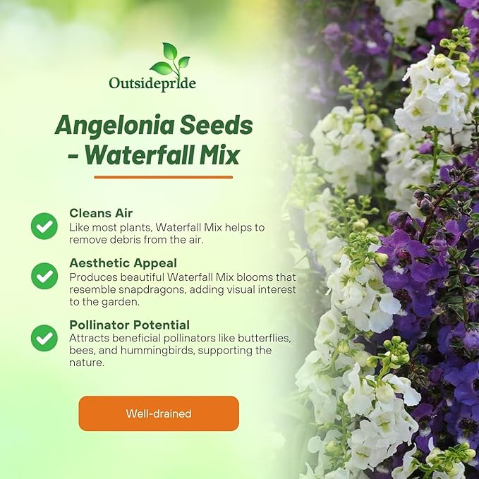 Outsidepride Serena Waterfall Mix Angelonia Snapdragon Seeds for Planting - 30 Pcs Perennial Flower Seeds, Pollinator-Friendly, Heat, Humidity & Drought-Tolerant, Compact Growth Habit for Containers