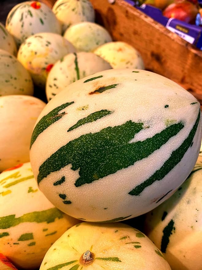 Melon Seeds for Planting (10 Seeds) - Grow Your Own Food (Snow Leopard Melon)