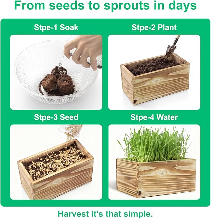 Cat Grass Kit for Indoor Cats Complete with Rustic Wood Planter, Organic Wheat Grass Seed and Soil, Grows in 7 Days, Prevent Hairballs and Aid Digestion Ideal Birthday Christmas Gift for Cat Lovers