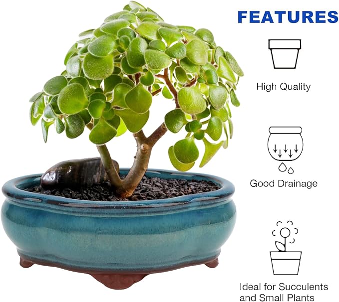 Bonsai Planter 5.7" Small Succulent Glazed Pots Set of 2 + 6 Soft Mesh Drainage Screens