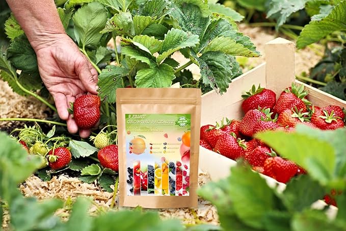 5 Variety Melon Fruit Seeds for Planting, Hami Melon, Yellow Canary Melon, Green Flesh Honeydew Melon, Sweet Watermelon, Sugar Baby Watermelon, Non-GMO Heirloom Easy to Grow