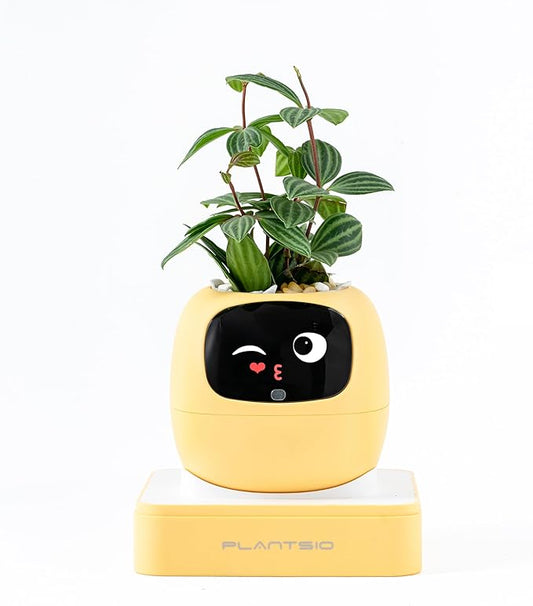 Ivy AI Smart Plant Pot with Emoji Intelligent Planter Robot for Houseplants Tamagotchi Flower Pot Stylish Plantagotchi Home Decor(Lemon)