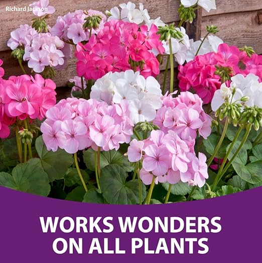 Blossom Booster Richard Jackson Premium Plant Food, with Bio-Active Technology, Concentrated Feed for All Plants, 178 gallons of Feed, Fruits and Vegetables with Essential Nutrients (1.65lbs / 750g)