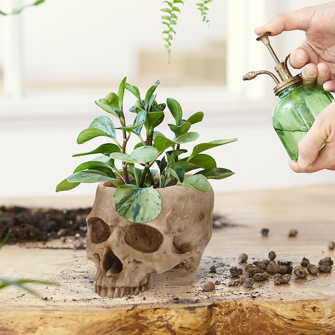 Skull Planter Pot for Plants - Realistic Human Skull Head Flower Pot, Halloween/Gothic Décor, Resin Planter for Succulents, Bonsai, Cactus, Home Bar, Desk, Spooky Gift Idea(Beige)