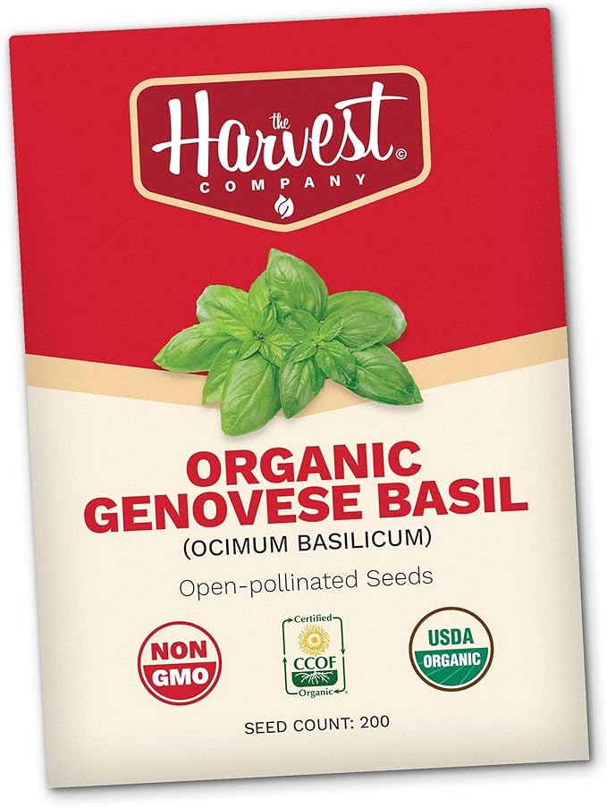 The Harvest Company Organic Genovese Basil, Non-GMO, Certified USDA Organic, Open-Pollinated, Garden Seeds for Indoor Outdoor Planting, 200 Seeds