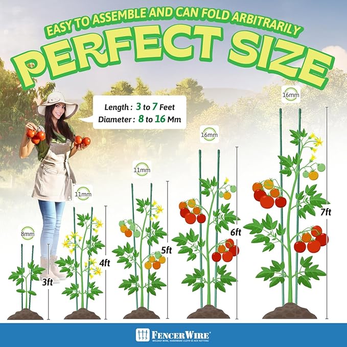 Fencer Wire 25 Pack of 3ft / 36 Inch Durable Metal Plant Supports Garden Stakes, Plant Stakes, Garden Poles for Outdoor & Indoor, Plant Support and Sticks for Tomato, Potted Plants, Beans, Cucumbers