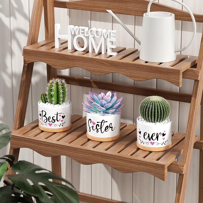 Christmas Sisters Gifts from Sister, Best Gifts for Sister from Brother, Best Sister Ever Ceramic Succulent Pots for Plants Indoor, Gift Boxed Thanksgiving Birthday Gifts for Sister in Law Soul Sister